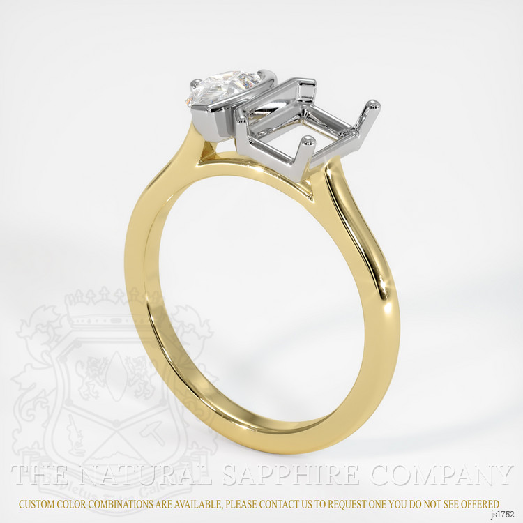 18K White & Yellow Flush Set Ring Setting