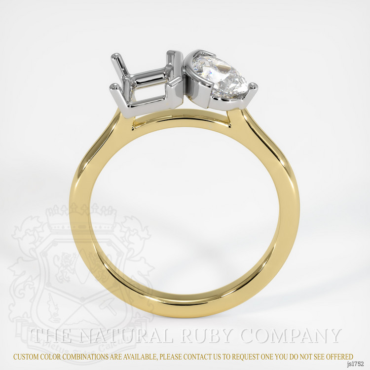 18K White & Yellow Flush Set Ring Setting