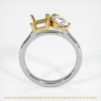 14K Yellow & White Flush Set Ring Setting Image