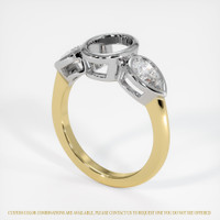 14K White & Yellow Three Stone Ring Setting Video