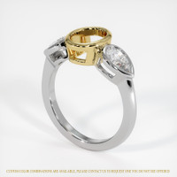 14K Yellow & White Three Stone Ring Setting Video