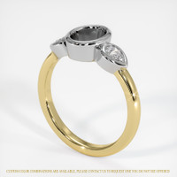14K White & Yellow Three Stone Ring Setting Video