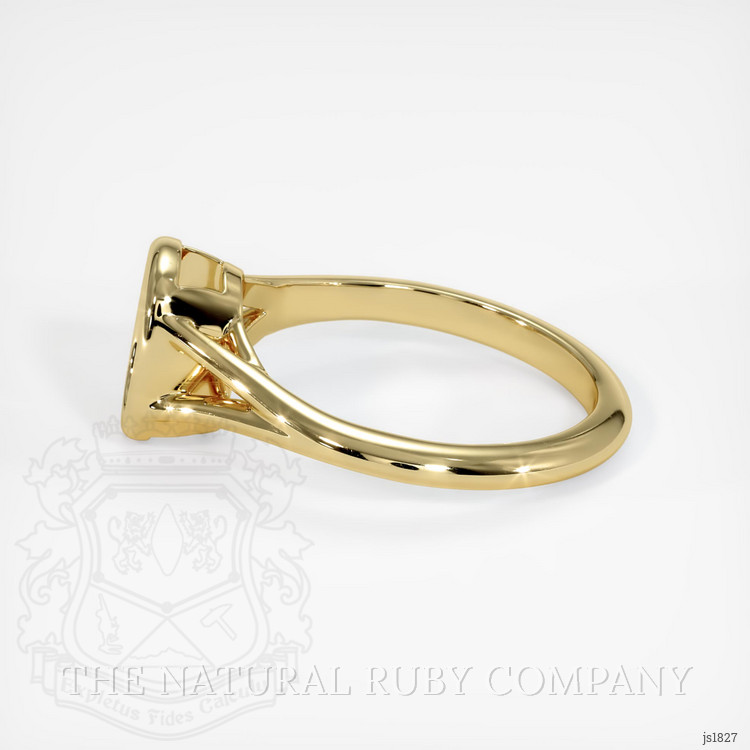 10K Yellow Gold Bezel Ring Setting