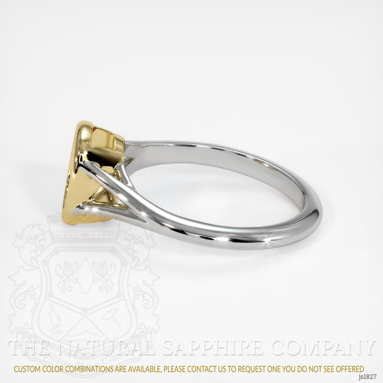 18K Yellow & White Bezel Ring Setting