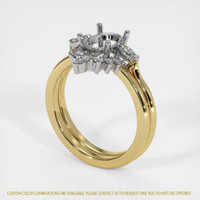 14K White & Yellow Three Stone Ring Setting Video