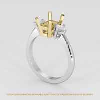 14K Yellow & White Three Stone Ring Setting Video