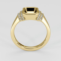 10K Yellow Gold Pave Ring Setting Image