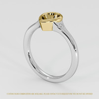 14K Yellow & White Three Stone Ring Setting Video