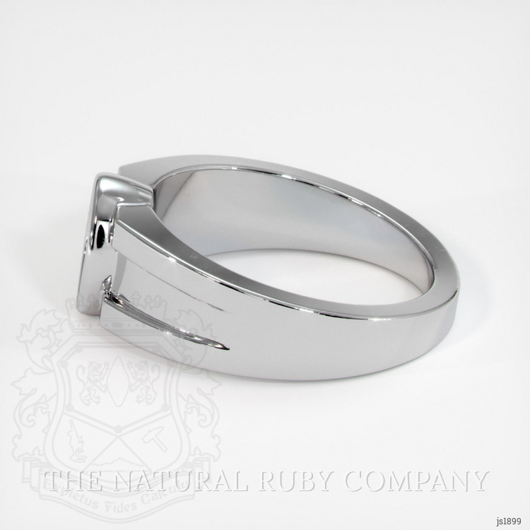 Silver Men's Ring Setting