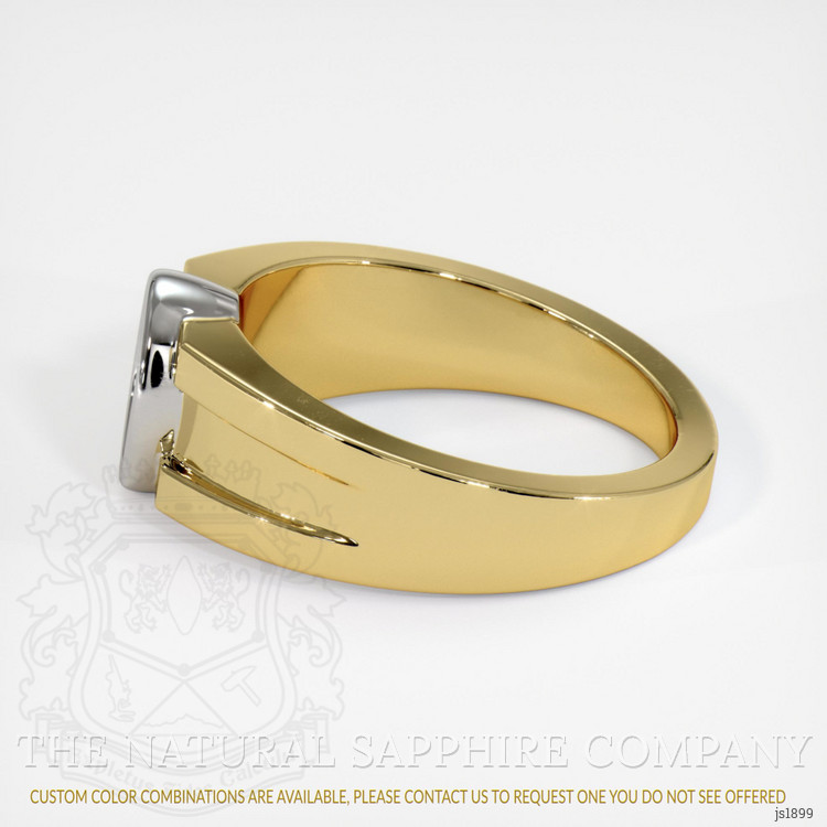 14K White & Yellow Men's Ring Setting