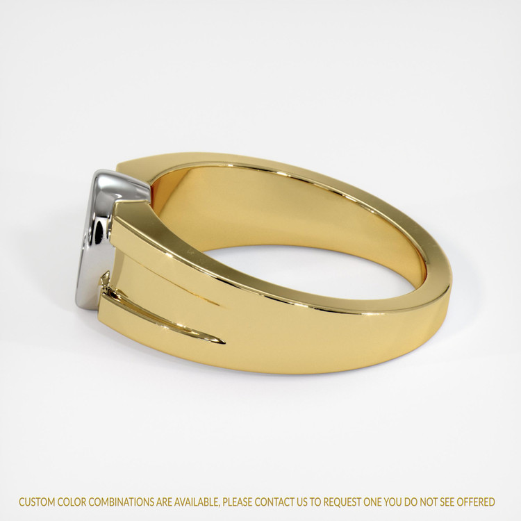 18K White & Yellow Men's Ring Setting