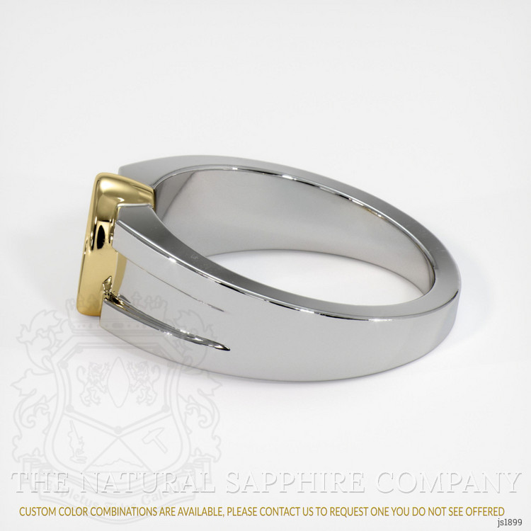 14K Yellow & White Men's Ring Setting