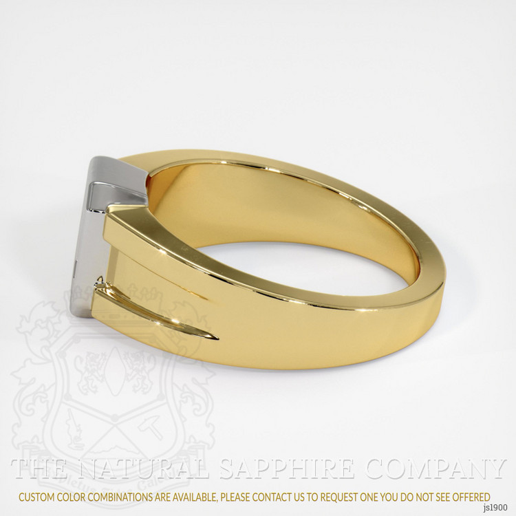 14K White & Yellow Men's Ring Setting