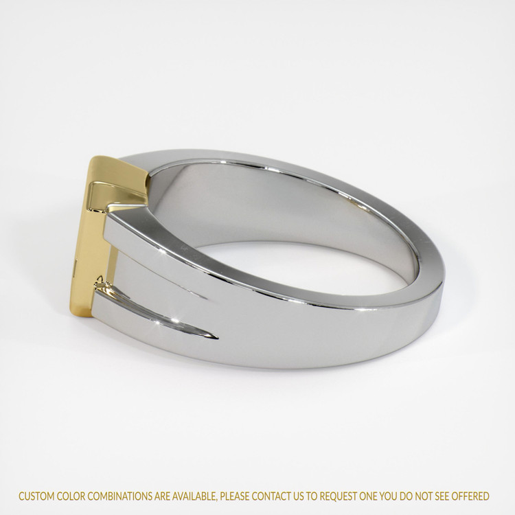 14K Yellow & White Men's Ring Setting