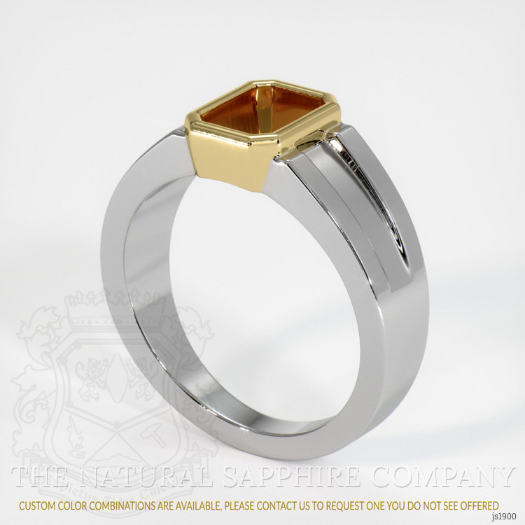18K Yellow & White Men's Ring Setting