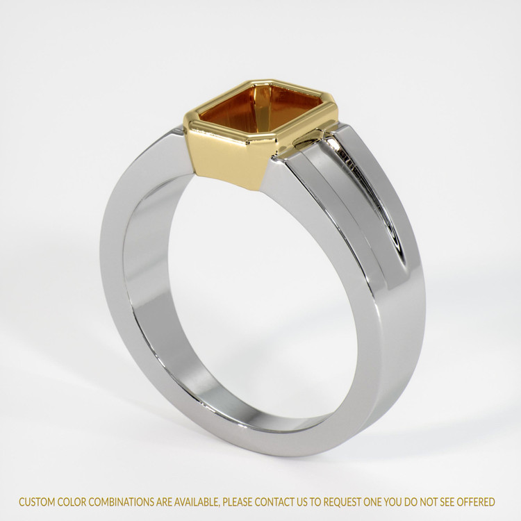 18K Yellow & White Men's Ring Setting