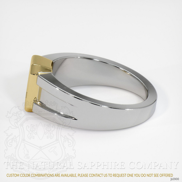 18K Yellow & White Men's Ring Setting