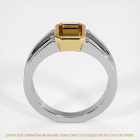 18K Yellow & White Men's Ring Setting Image