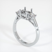 10K White Gold Three Stone Ring Setting Video