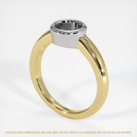 14K White & Yellow Men's Ring Setting Video