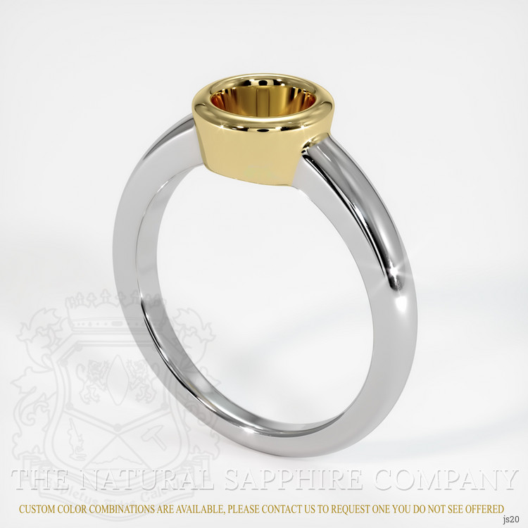 14K Yellow & White Men's Ring Setting