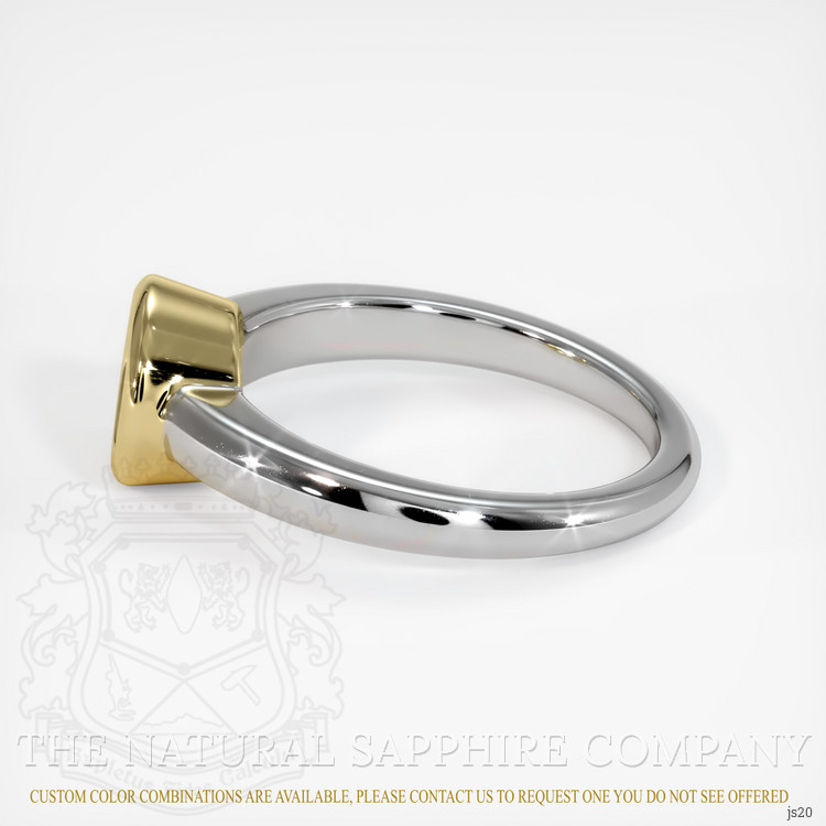 14K Yellow & White Men's Ring Setting