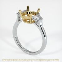 14K Yellow & White Three Stone Ring Setting Video