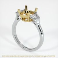 18K Yellow & White Three Stone Ring Setting Video