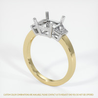 14K White & Yellow Three Stone Ring Setting Video