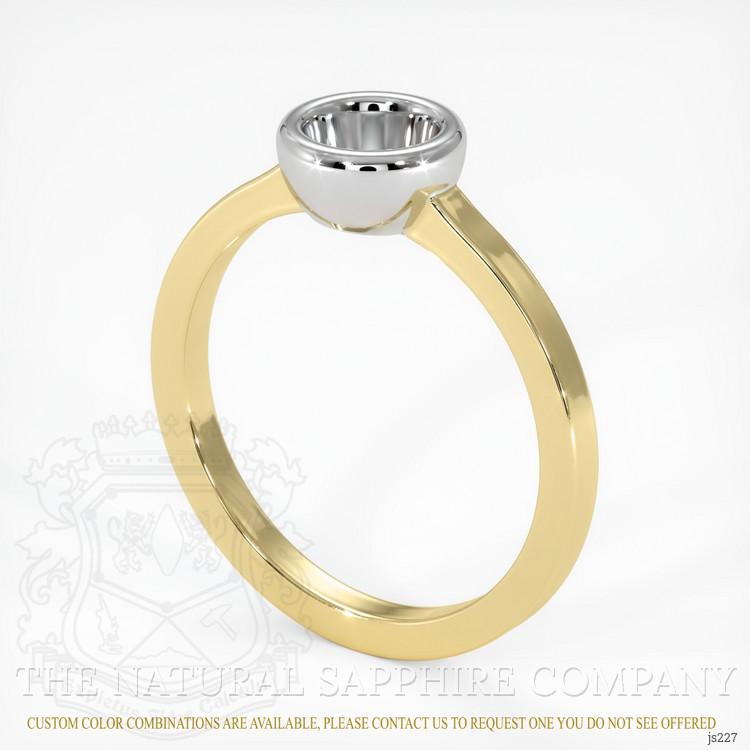 14K White & Yellow Men's Ring Setting
