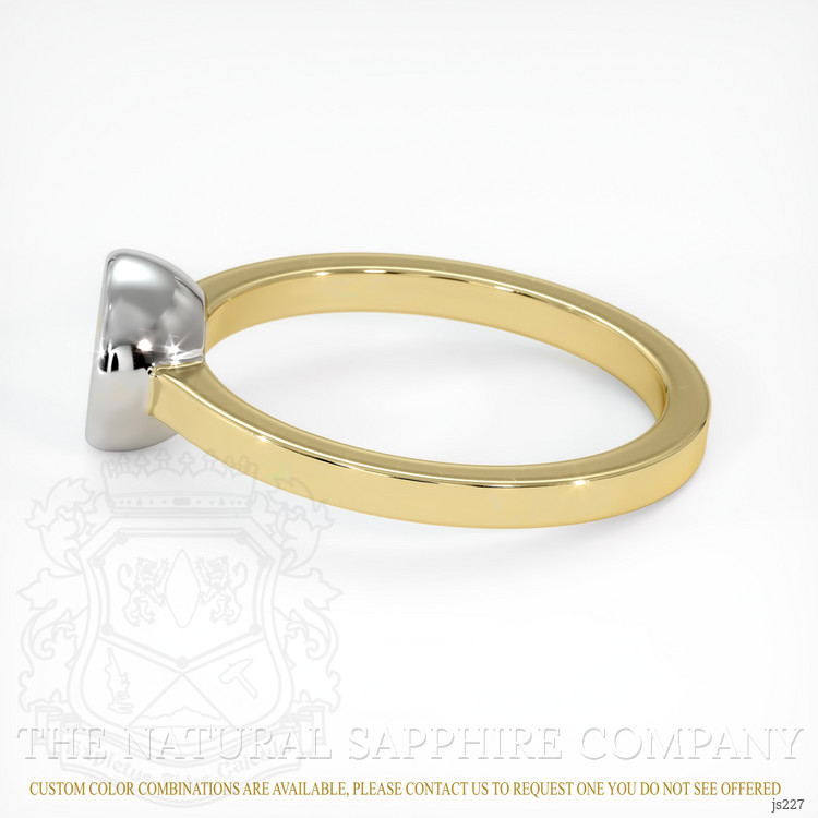 14K White & Yellow Men's Ring Setting