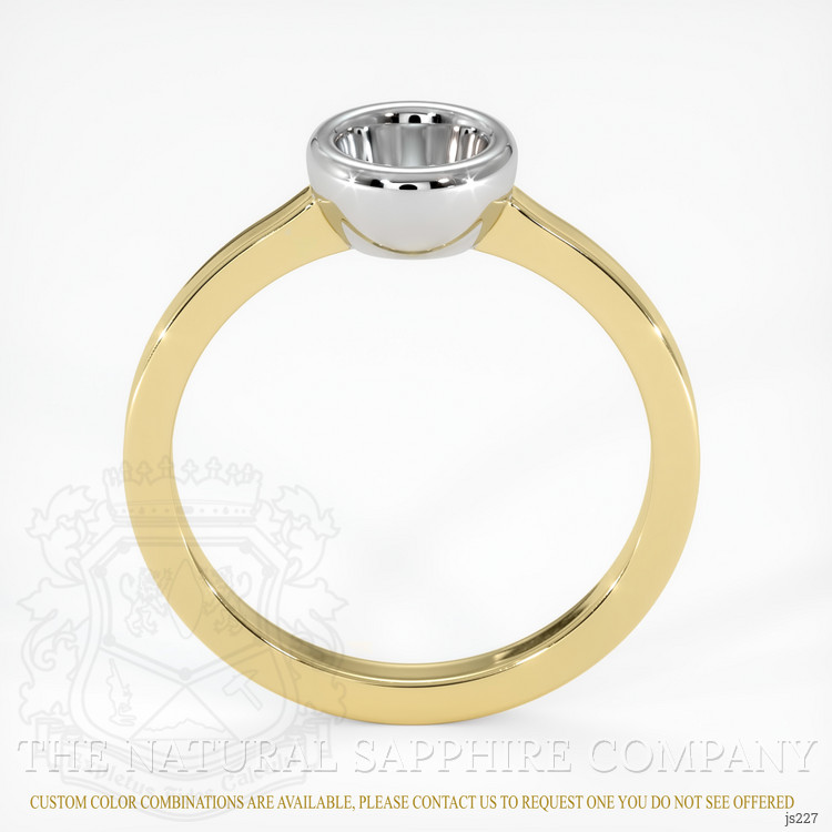 14K White & Yellow Men's Ring Setting