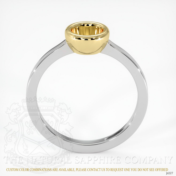14K Yellow & White Men's Ring Setting