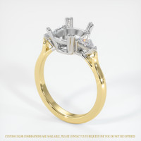 18K White & Yellow Three Stone Ring Setting Video