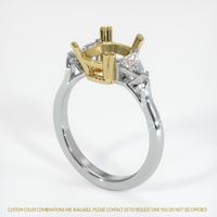 18K Yellow & White Three Stone Ring Setting Video