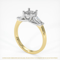 14K White & Yellow Three Stone Ring Setting Video