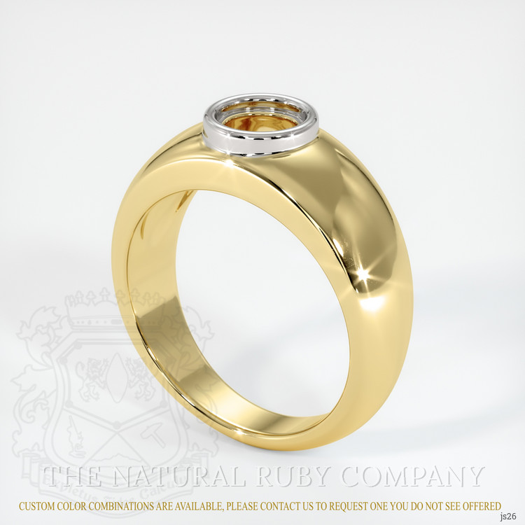 14K White & Yellow Men's Ring Setting
