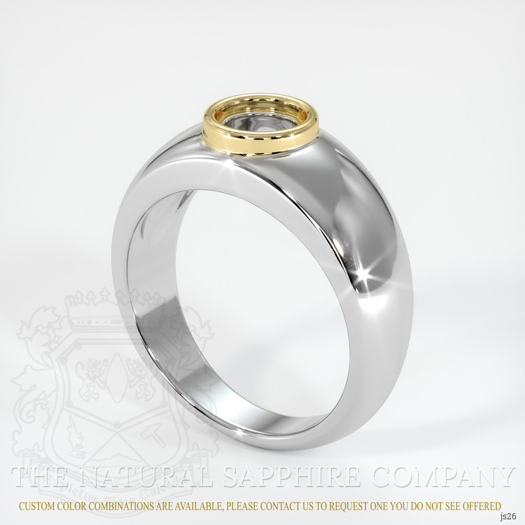 14K Yellow & White Men's Ring Setting