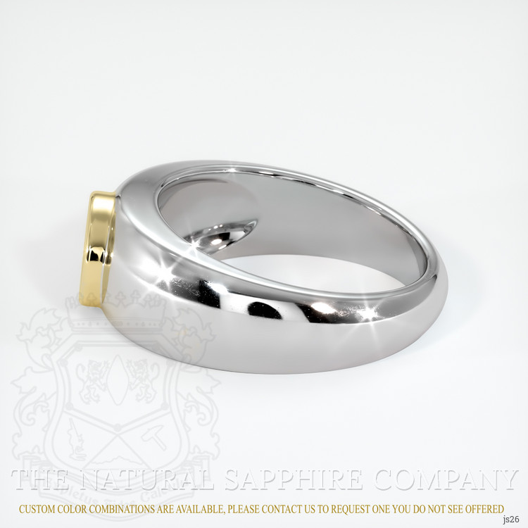 14K Yellow & White Men's Ring Setting