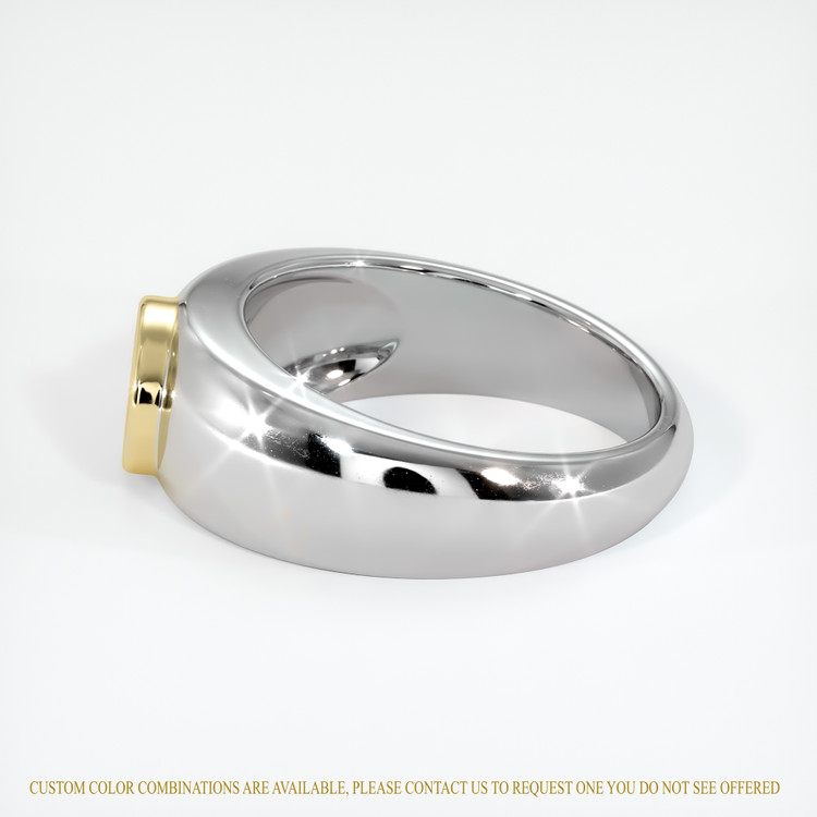 14K Yellow & White Men's Ring Setting