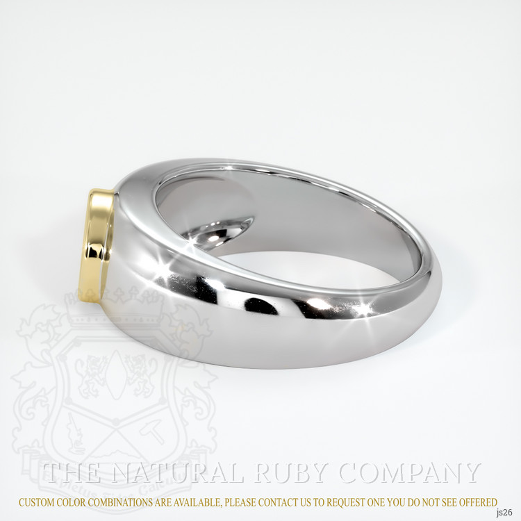 14K Yellow & White Men's Ring Setting