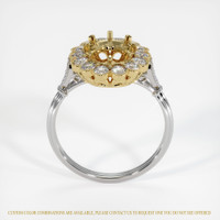 14K Yellow White Ring Setting Image