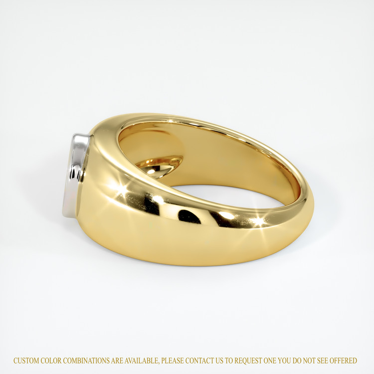 18K White & Yellow Men's Ring Setting