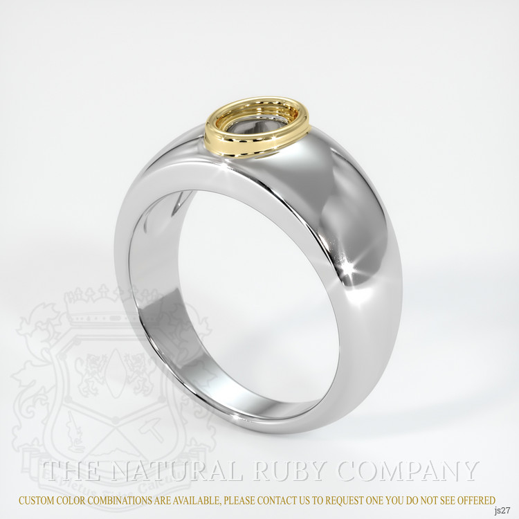14K Yellow & White Men's Ring Setting