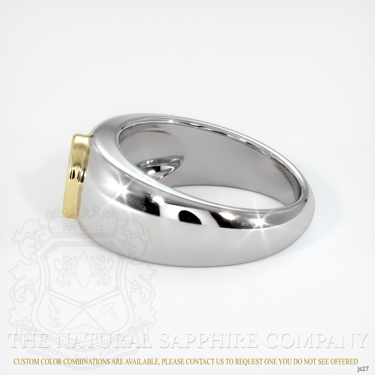 14K Yellow & White Men's Ring Setting