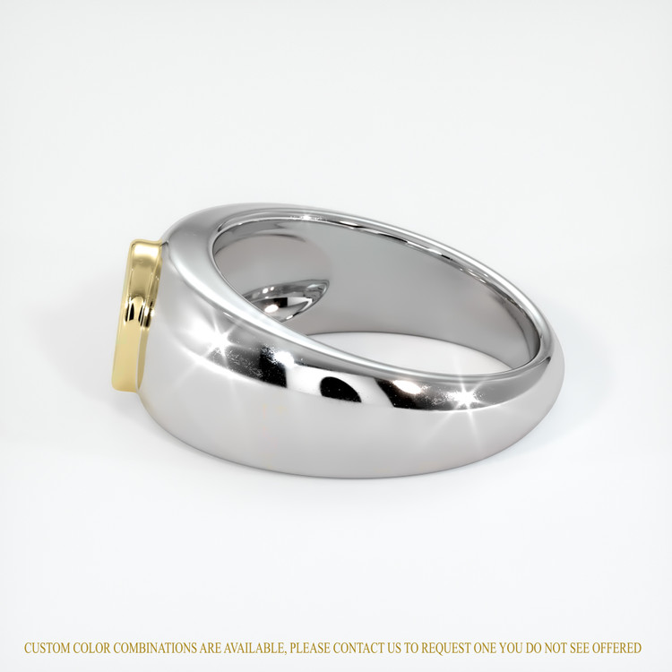 14K Yellow & White Men's Ring Setting