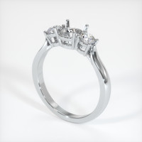 10K White Gold Three Stone Ring Setting Video