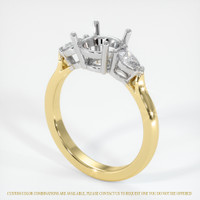 14K White & Yellow Three Stone Ring Setting Video