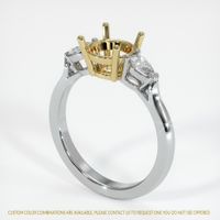 14K Yellow & White Three Stone Ring Setting Video