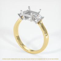 14K White & Yellow Three Stone Ring Setting Video